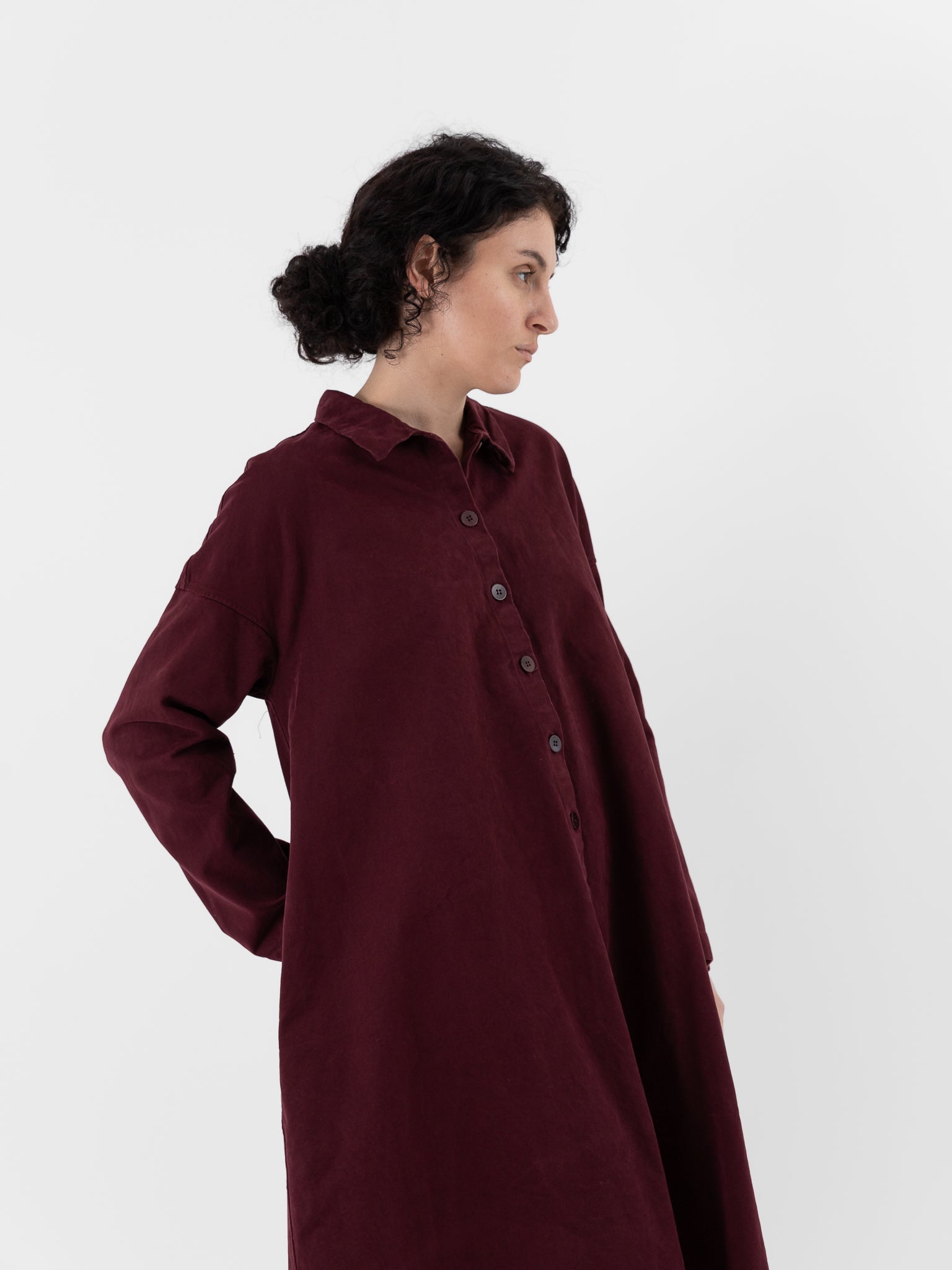 Album di Famiglia Loose Collar Dress WCC in Wine - ALBUM DI FAMIGLIA at Worthwhile - shop DRESS