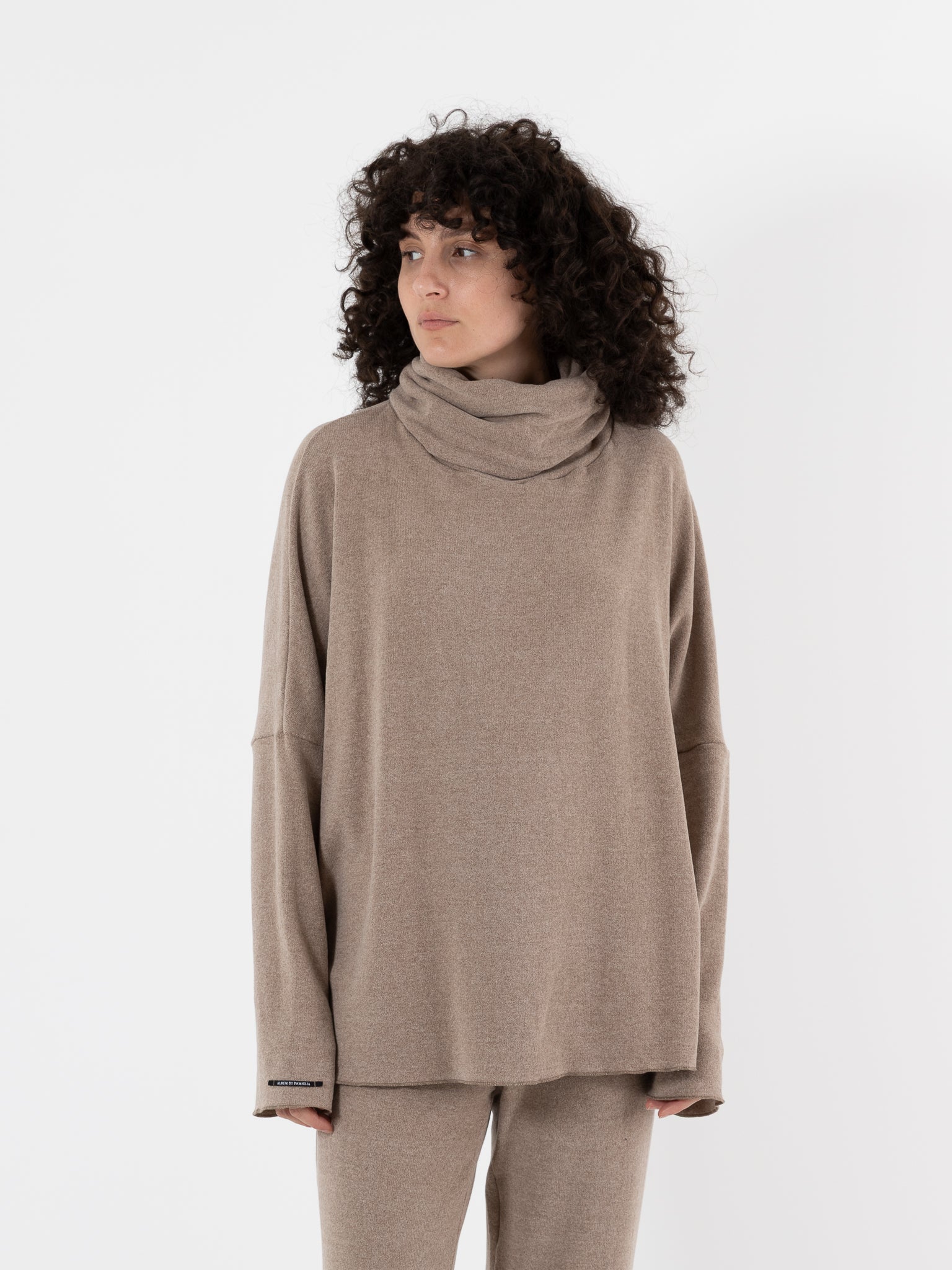 Album Di Famiglia Big Big Turtleneck in Marron Glace JP - ALBUM DI FAMIGLIA at Worthwhile - shop TOP