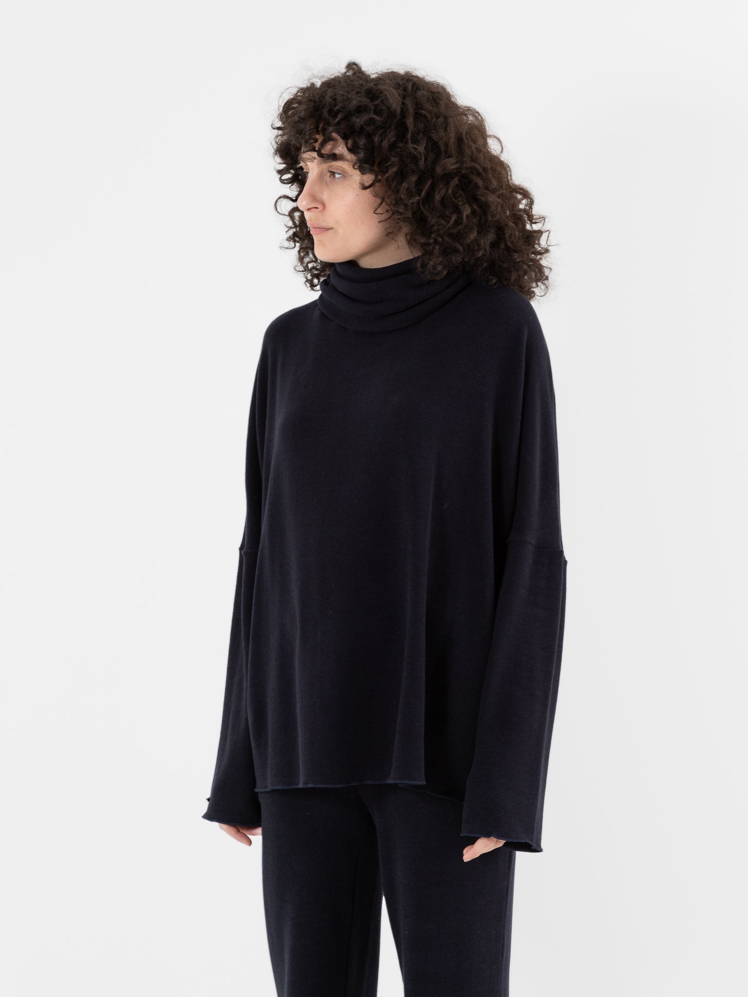 Album di Famiglia Big Big Turtleneck in Ink JP - ALBUM DI FAMIGLIA at Worthwhile - shop TOP