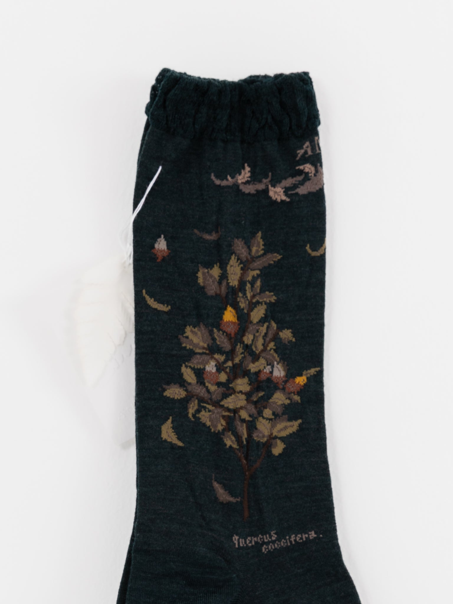 Antipast Wind and Acorn Tree Socks in Dark Green - ANTIPAST at Worthwhile - shop SOCK