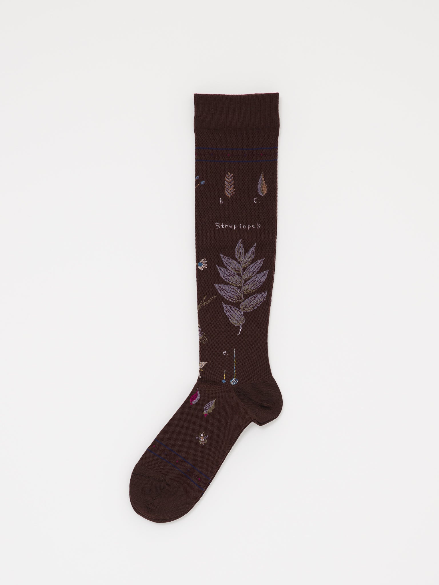 Antipast Botanical Compression High Socks in Dark Brown - ANTIPAST at Worthwhile - shop SOCK
