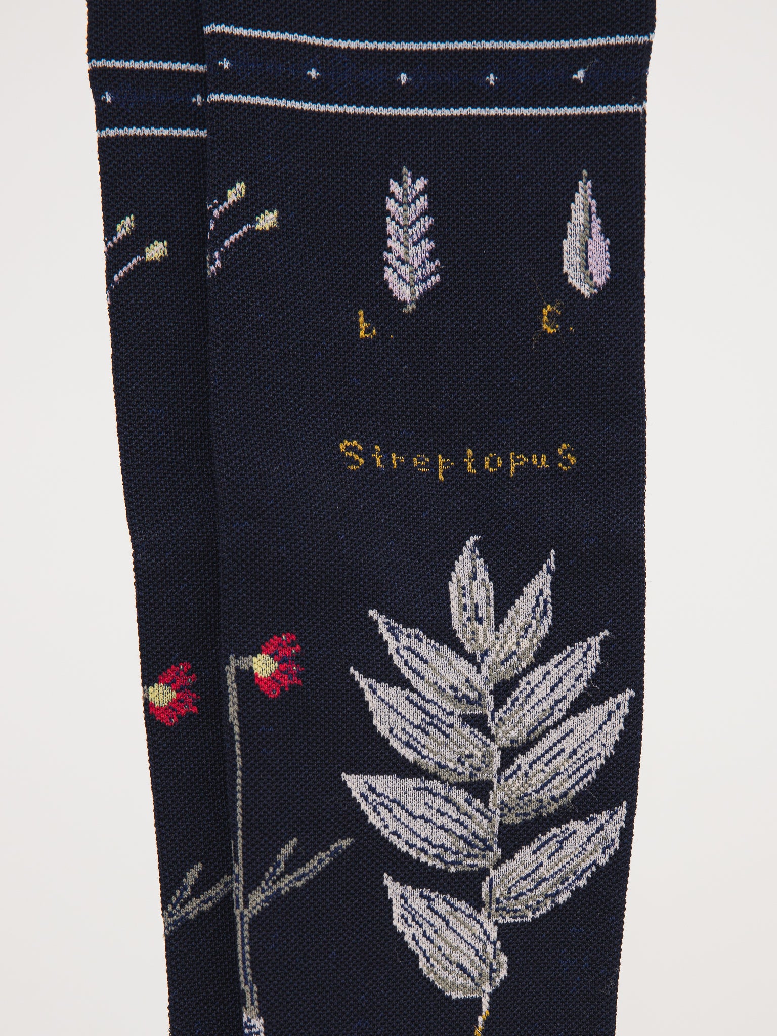 Antipast Botanical Compression High Socks in Navy - ANTIPAST at Worthwhile - shop SOCK