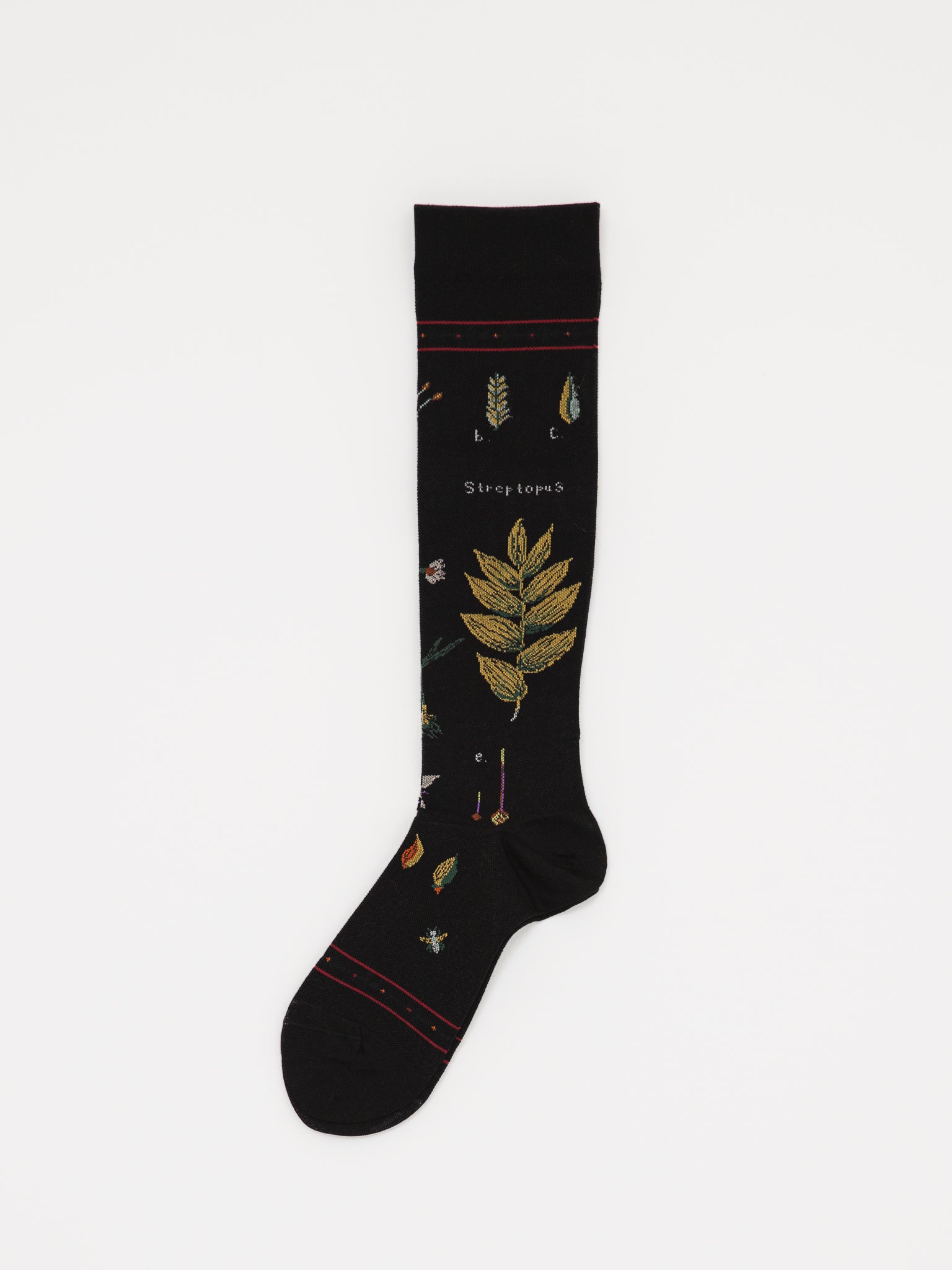 Antipast Botanical Compression High Socks in Black - ANTIPAST at Worthwhile - shop SOCK