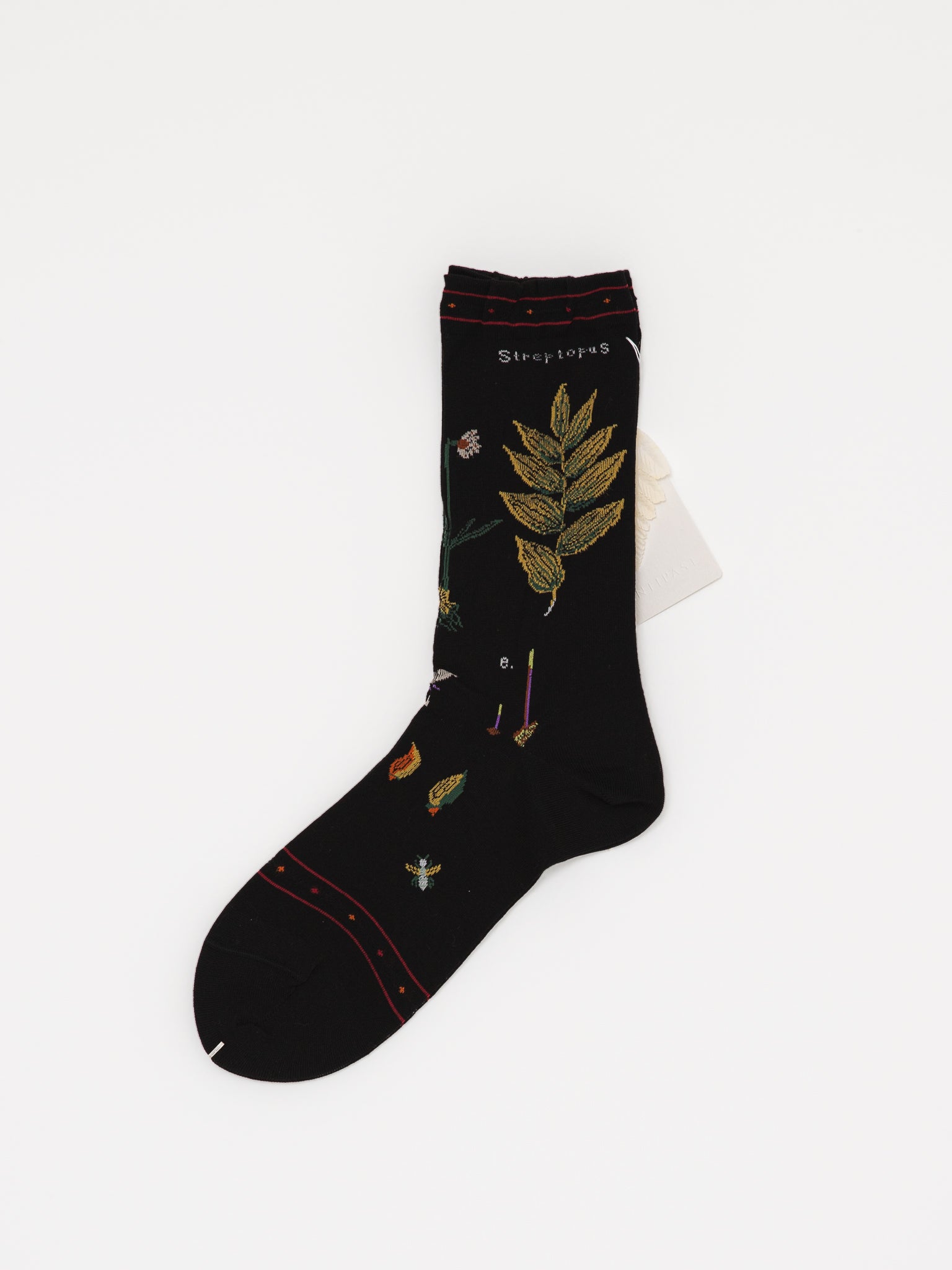 Antipast Botanical Compression Low Socks in Black - ANTIPAST at Worthwhile - shop SOCK