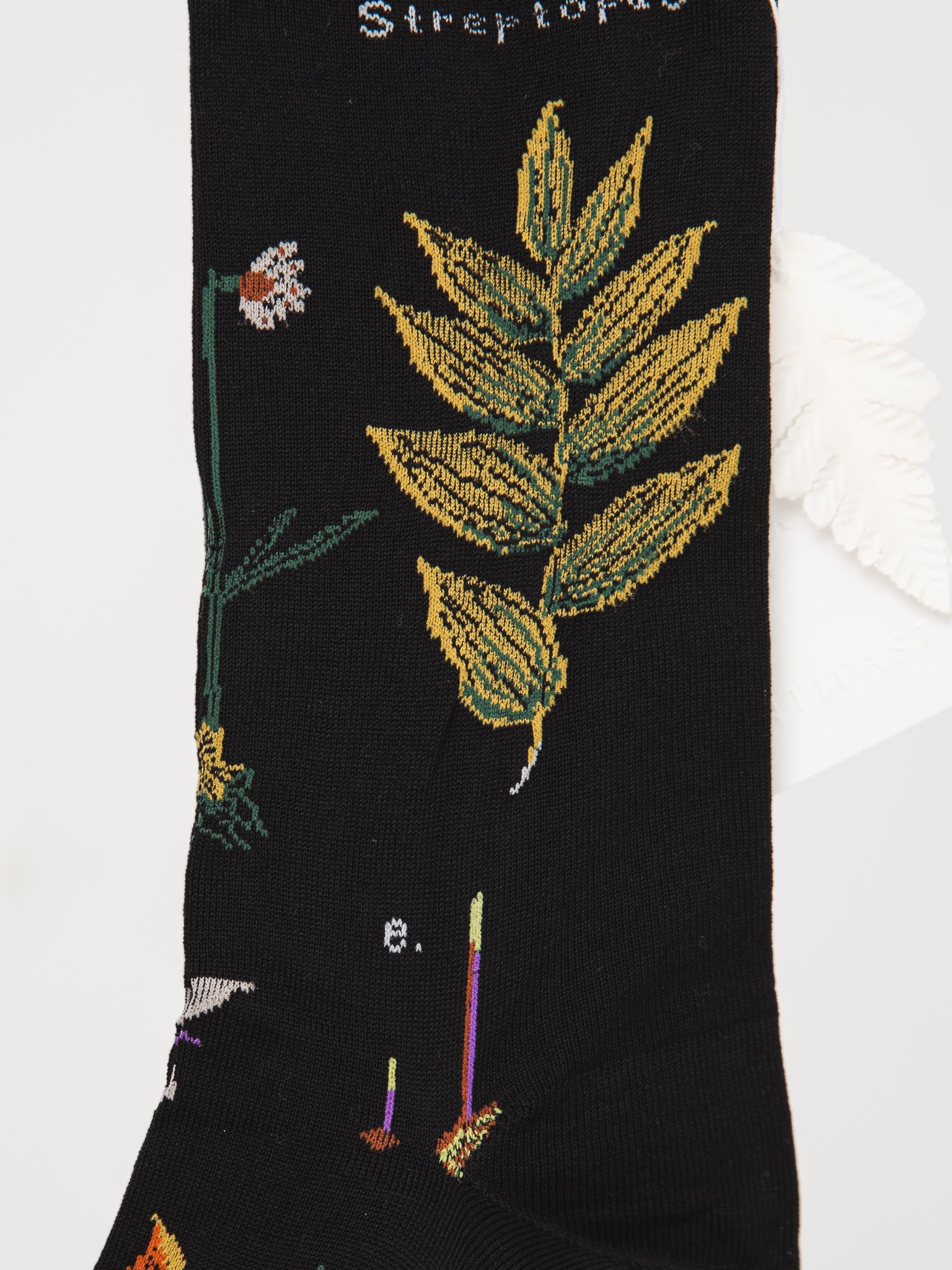 Antipast Botanical Compression Low Socks in Black - ANTIPAST at Worthwhile - shop SOCK