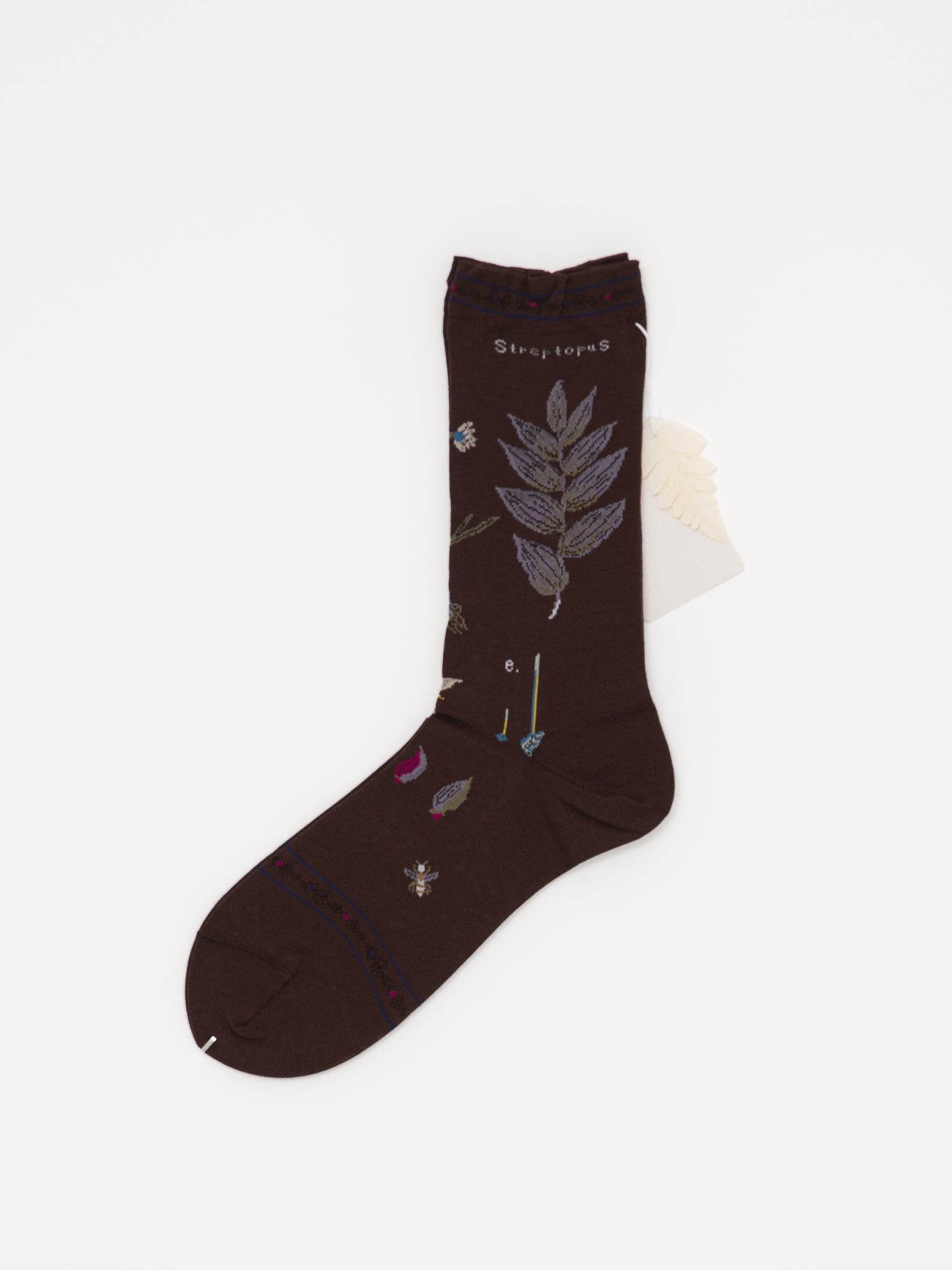 Antipast Botanical Compression Low Socks in Dark Brown - ANTIPAST at Worthwhile - shop SOCK