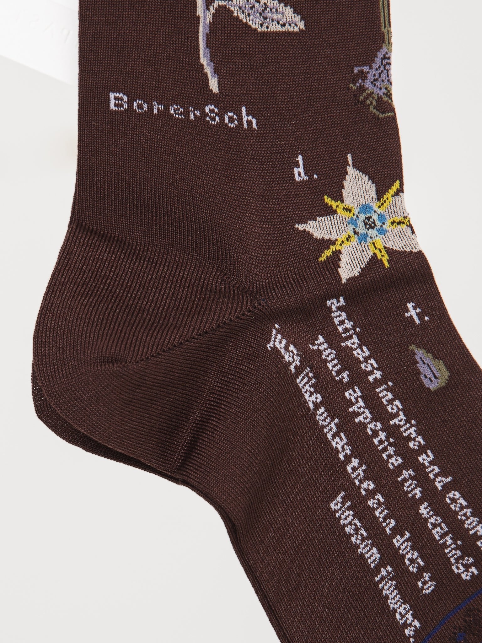 Antipast Botanical Compression Low Socks in Dark Brown - ANTIPAST at Worthwhile - shop SOCK