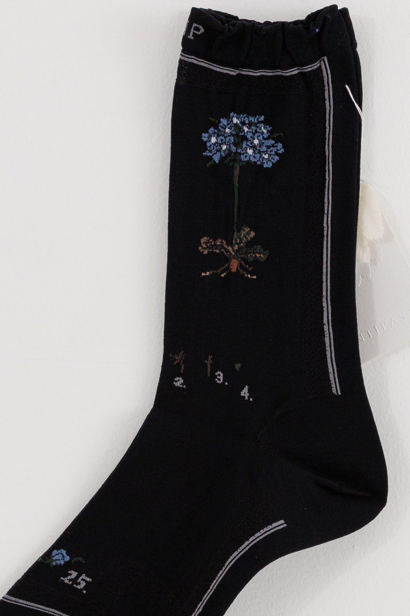Antipast Botanical Flower Socks in Black - ANTIPAST at Worthwhile - shop SOCK