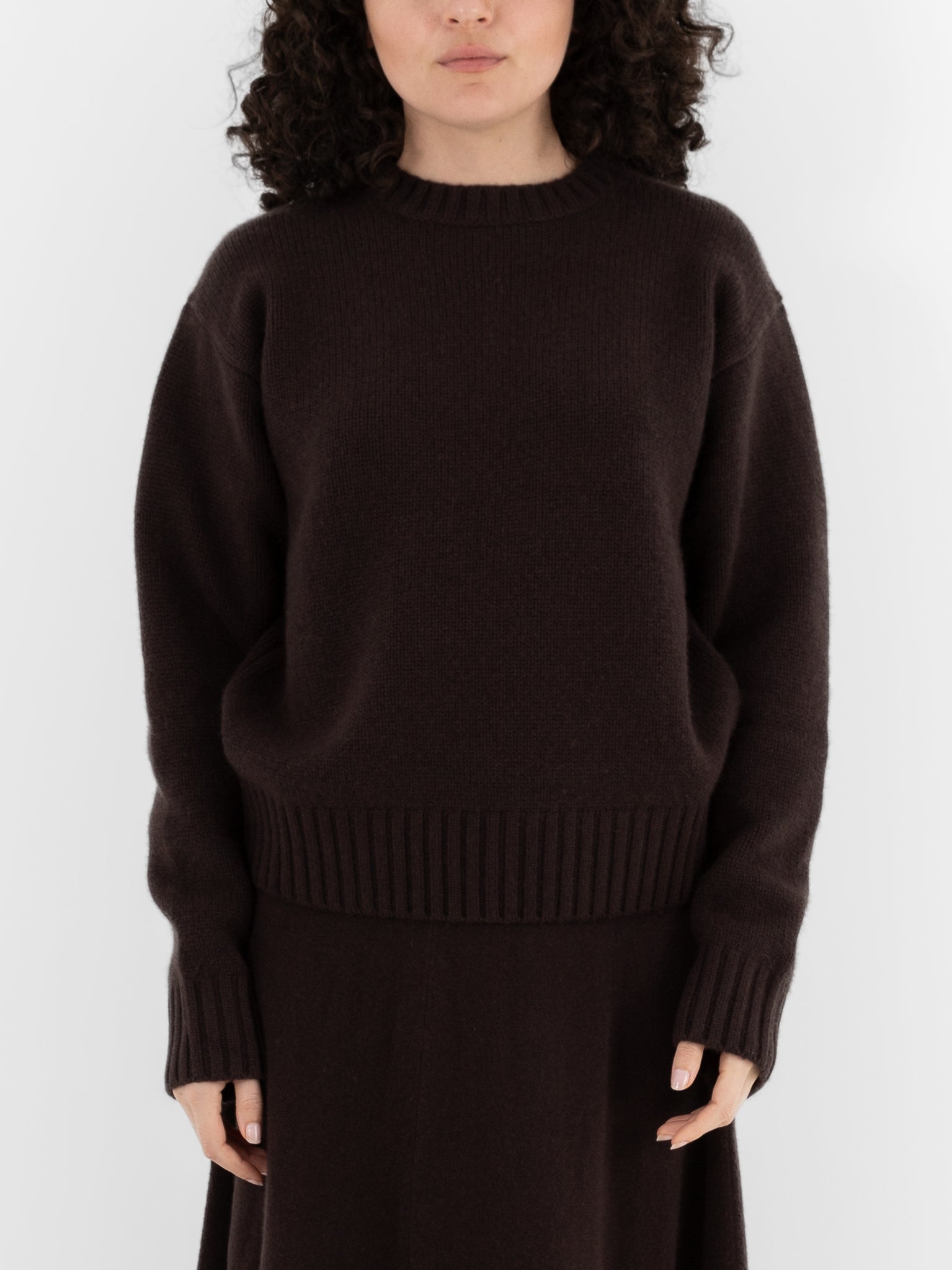Extreme Cashmere n°373 Oldie Crewneck in Dark Brown - EXTREME CASHMERE at Worthwhile - shop SWEATER