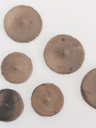 FLŌRAOUS Terracotta Diffuser, Large - FLORAOUS at Worthwhile - shop HOME FRAGRANCE