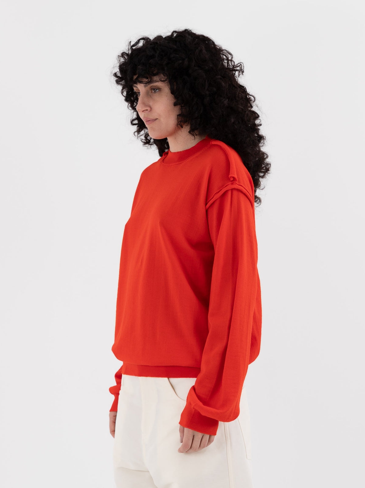 Sofie D'Hoore Myron Pullover in Scarlet - SOFIE D'HOORE at Worthwhile - shop SWEATER