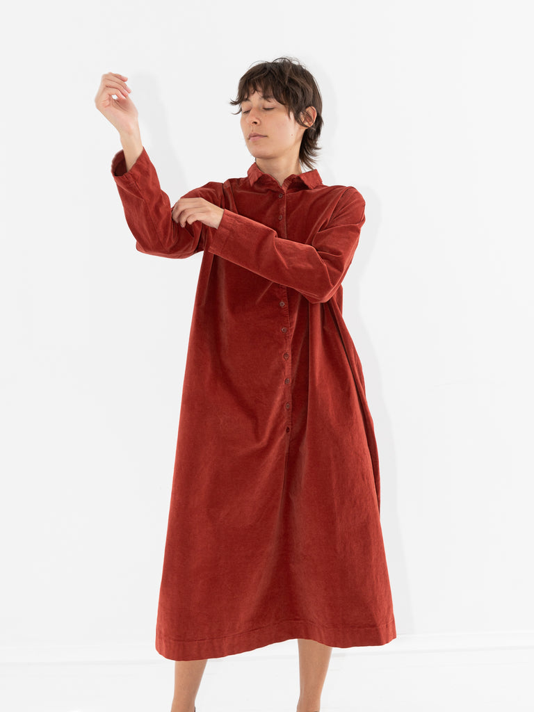 Album Di Famiglia Velvet Collar Dress, Red - Worthwhile