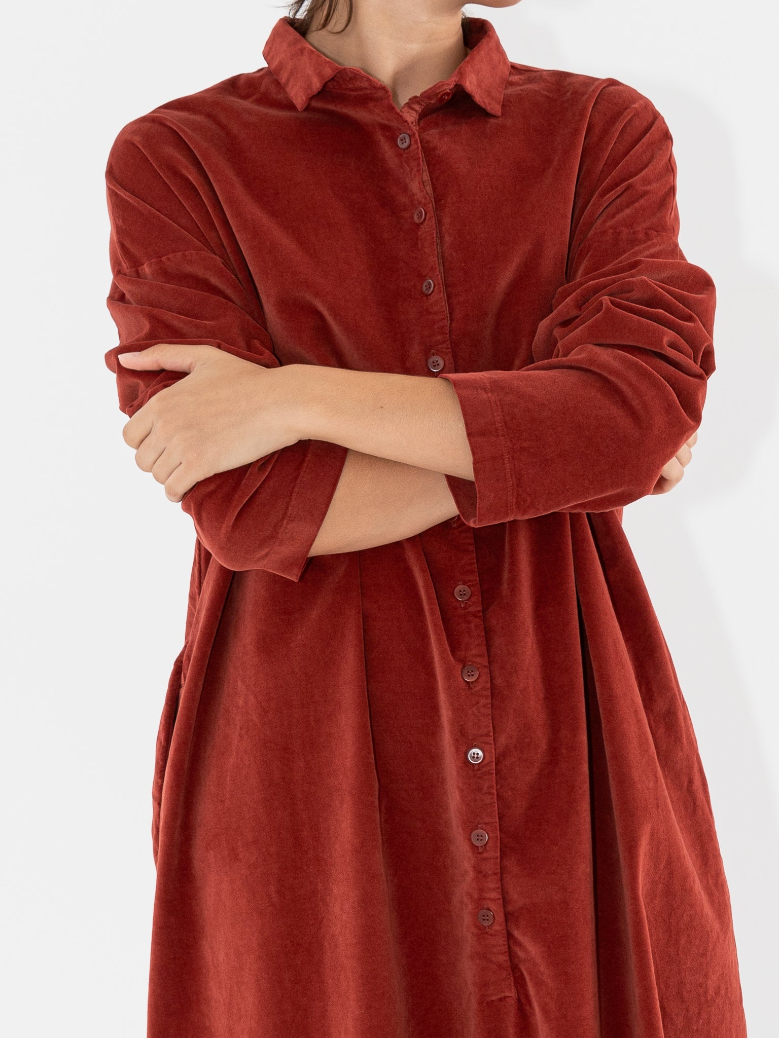 Album Di Famiglia Velvet Collar Dress, Red