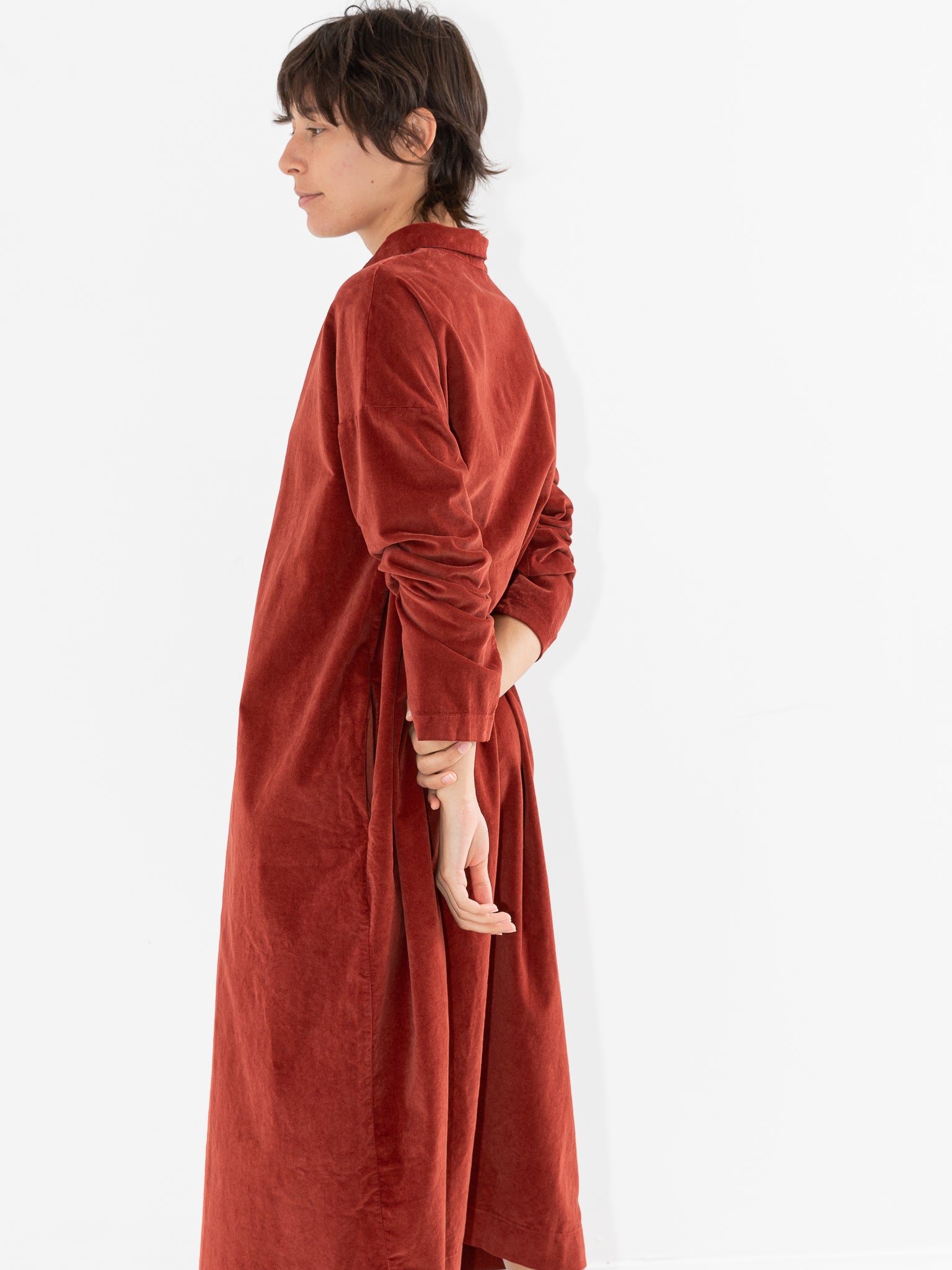 Album Di Famiglia Velvet Collar Dress, Red