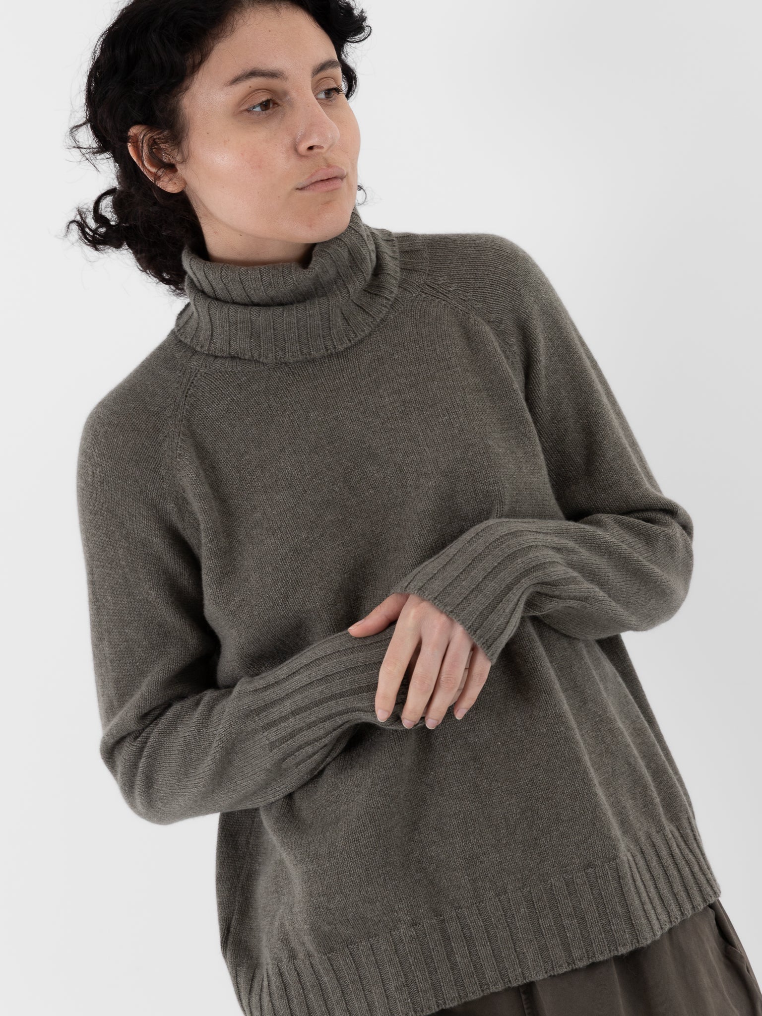 Album di Famiglia Dolcevita WS in Taupe - ALBUM DI FAMIGLIA at Worthwhile - shop SWEATER