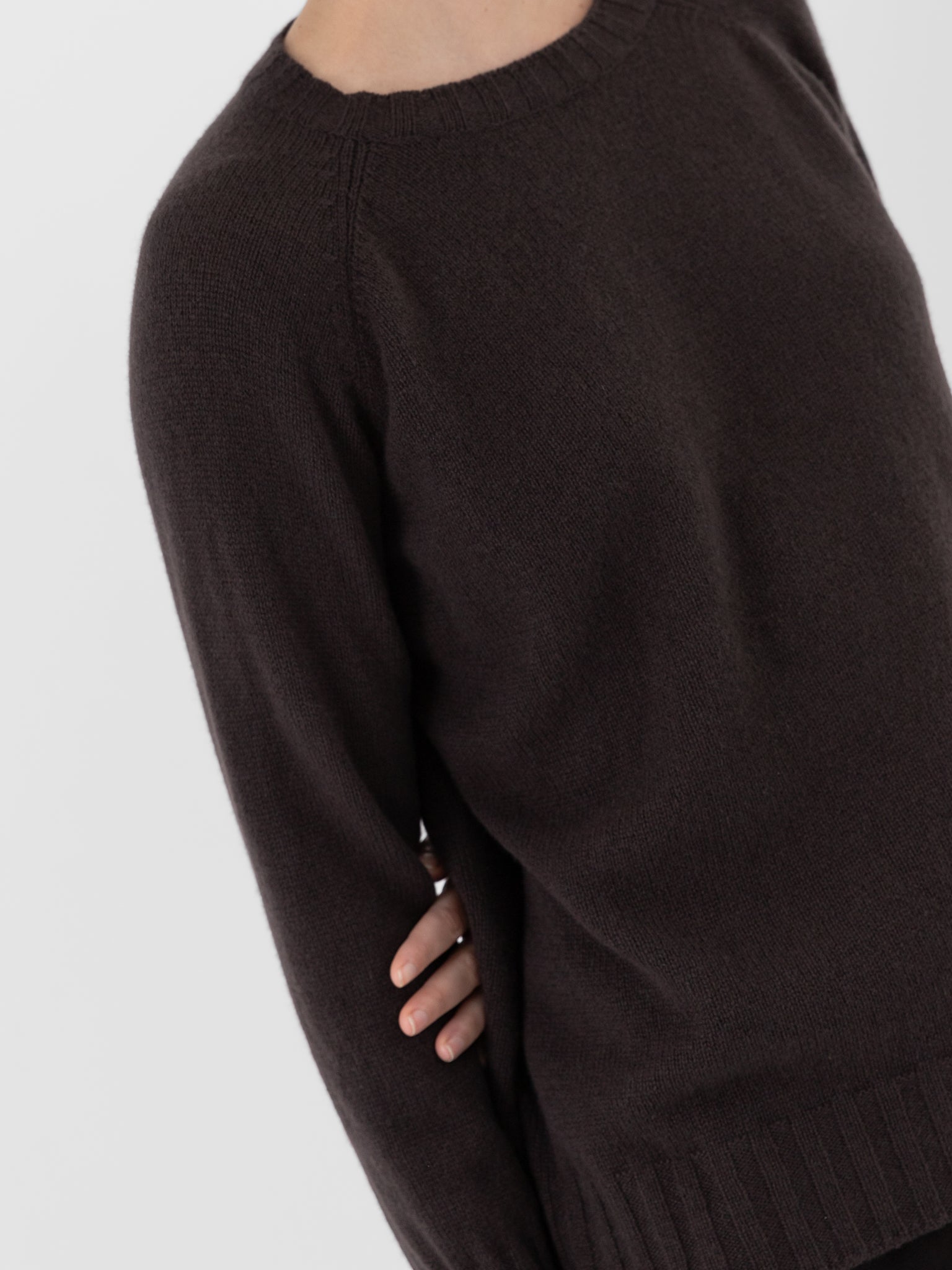 Album di Famiglia Girocollo Raglan Crew WS in Brown - ALBUM DI FAMIGLIA at Worthwhile - shop SWEATER
