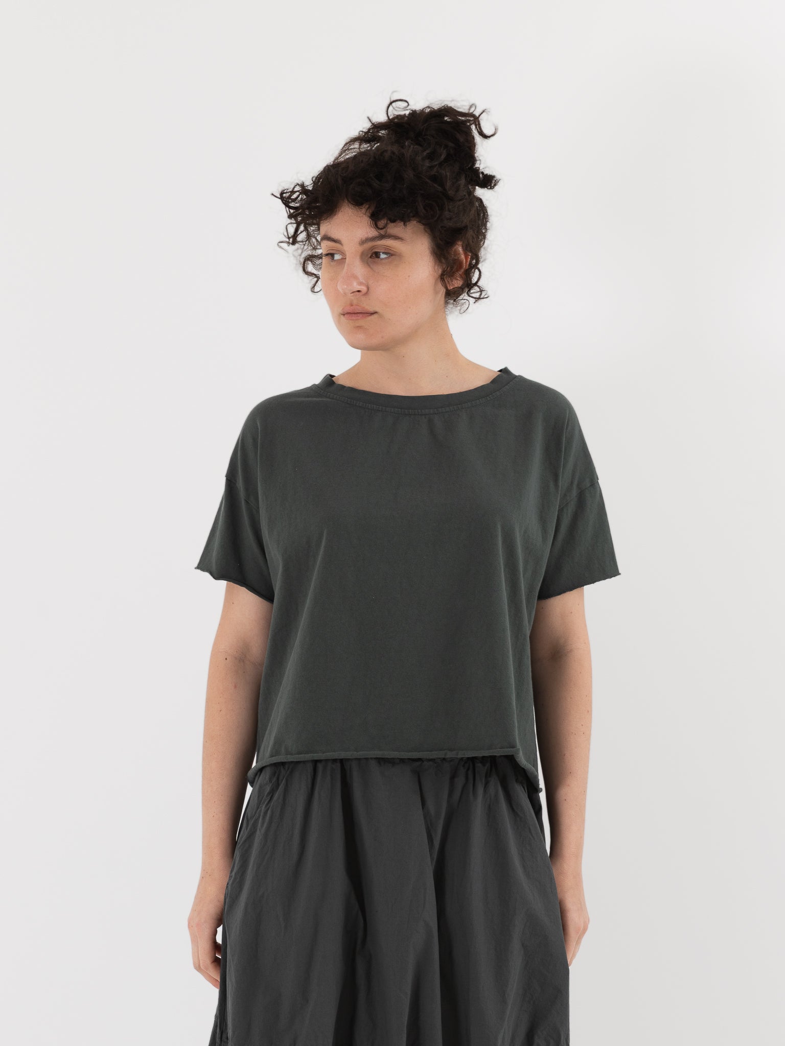 Album di Famiglia Tee Shirt in Thyme HC - ALBUM DI FAMIGLIA at Worthwhile - shop TOP