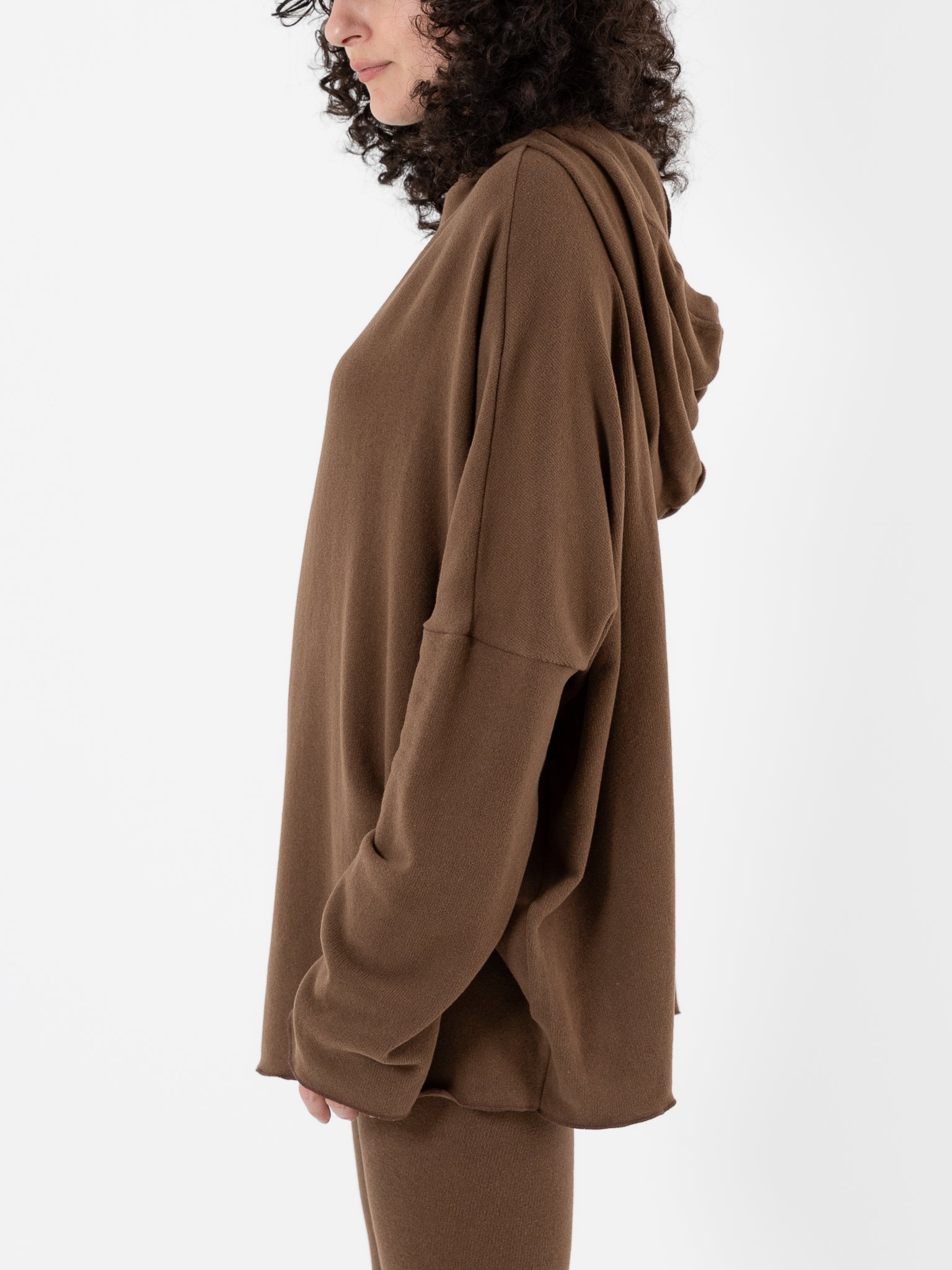 Album Di Famiglia Big Big Hoodie in Chestnut JP at Worthwhile