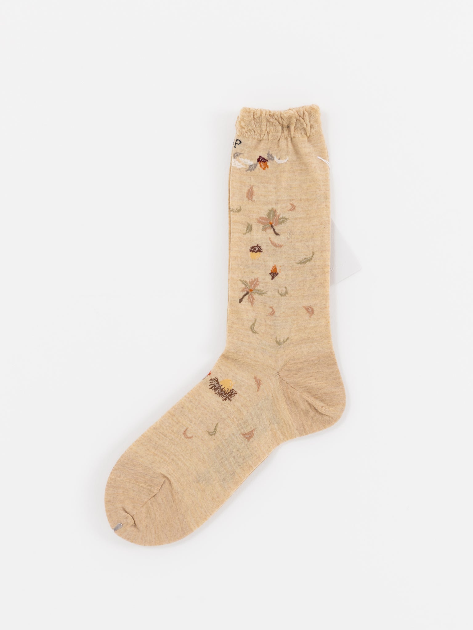 Antipast Wind and Acorn Tree Socks in Beige - ANTIPAST at Worthwhile - shop SOCK