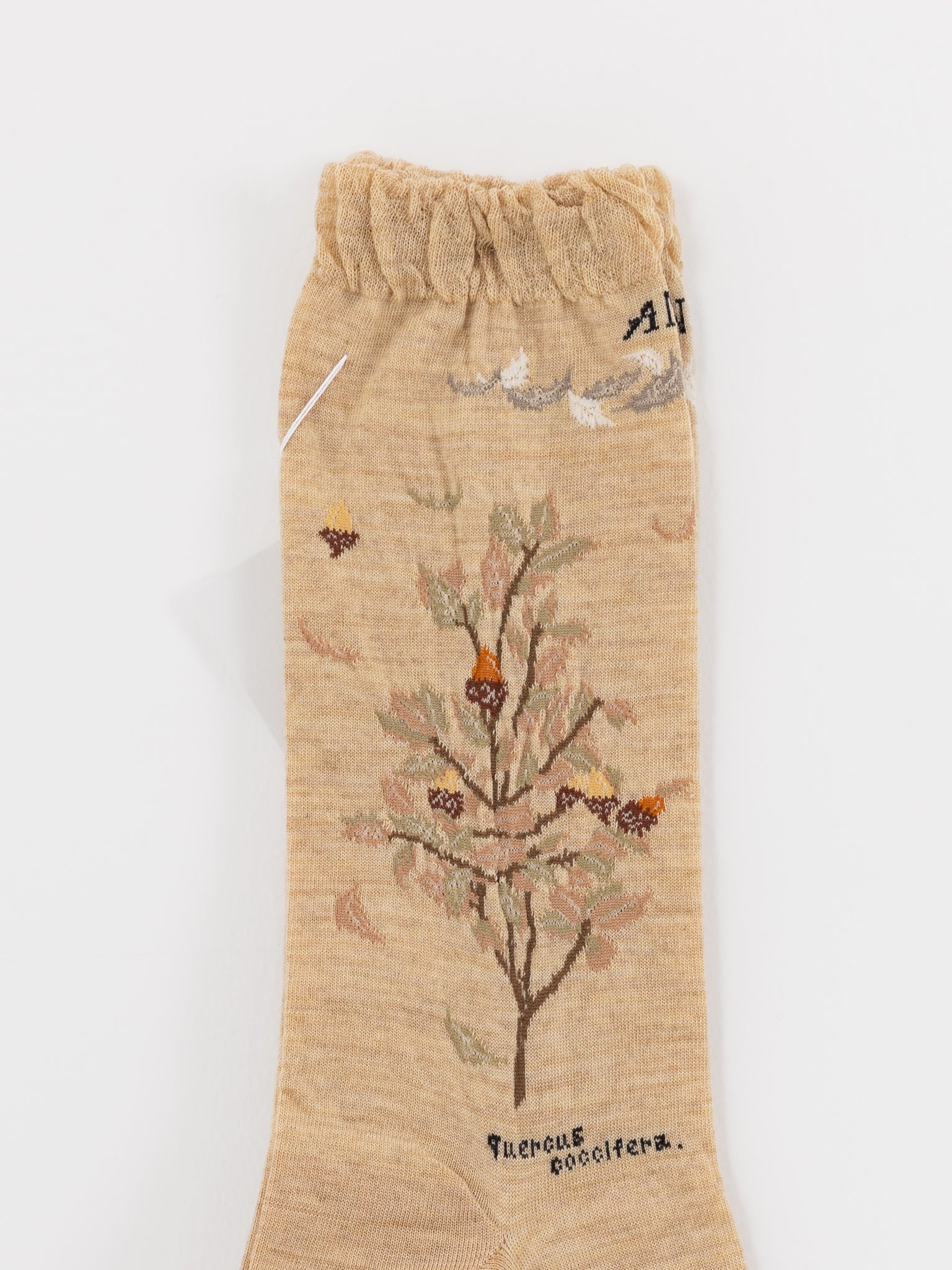 Antipast Wind and Acorn Tree Socks in Beige - ANTIPAST at Worthwhile - shop SOCK