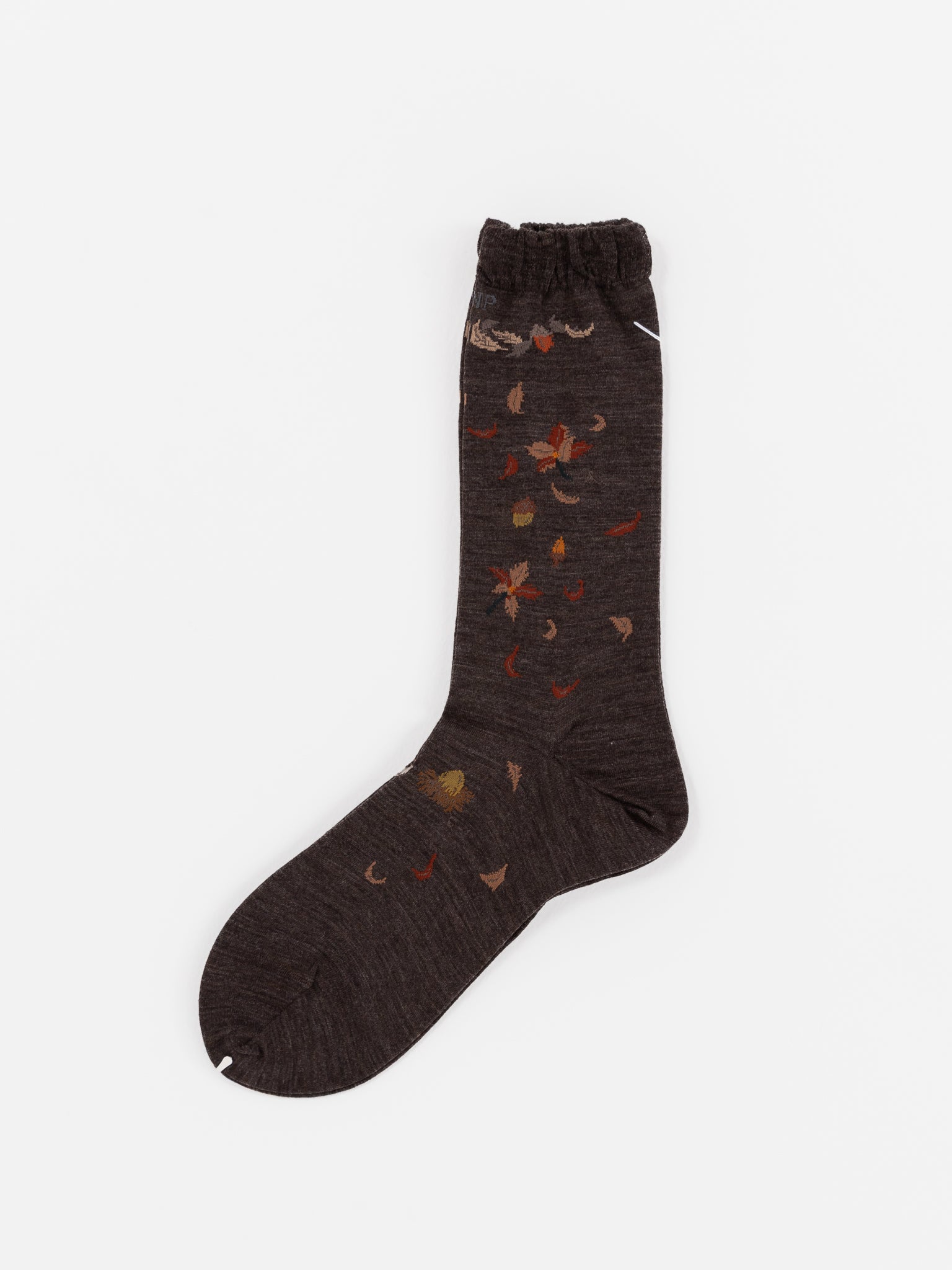Antipast Wind and Acorn Tree Socks in Dark Brown - ANTIPAST at Worthwhile - shop SOCK