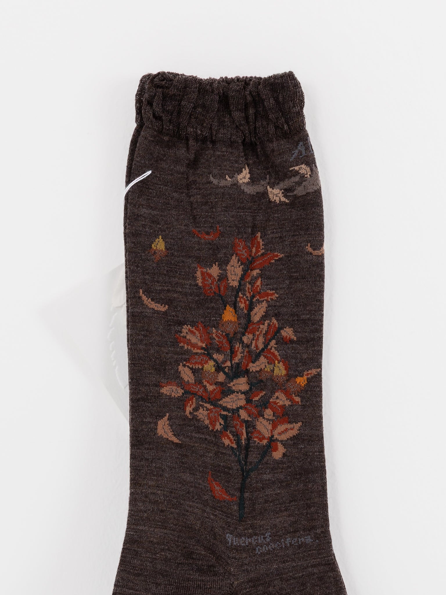 Antipast Wind and Acorn Tree Socks in Dark Brown - ANTIPAST at Worthwhile - shop SOCK