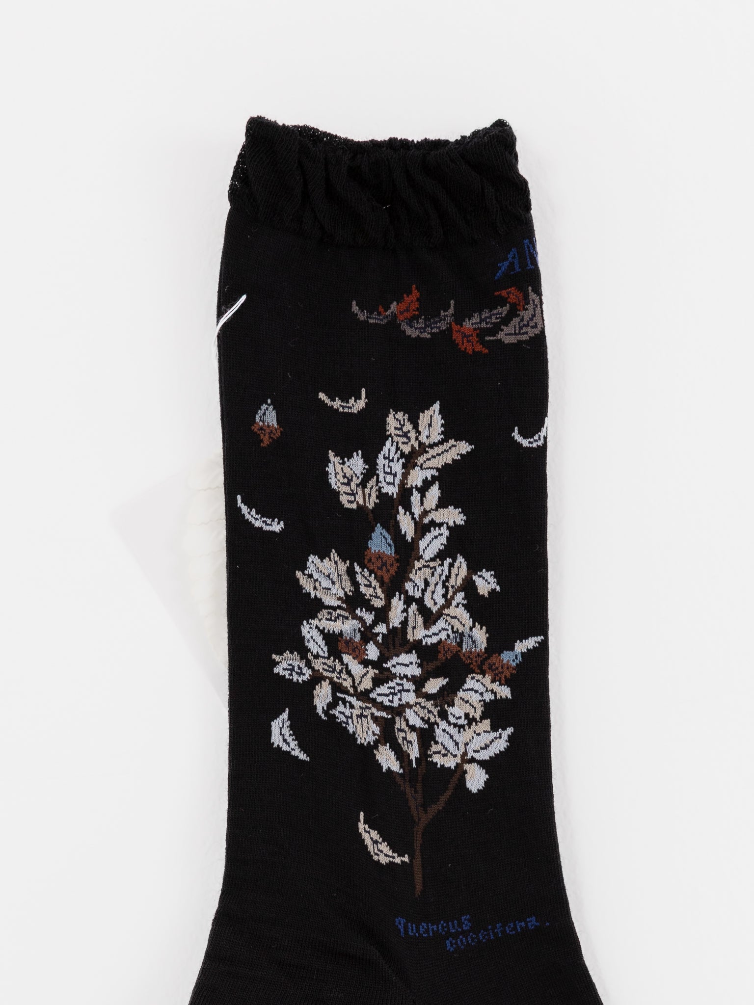 Antipast Wind and Acorn Tree Socks in Black - ANTIPAST at Worthwhile - shop SOCK