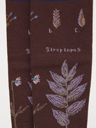 Antipast Botanical Compression High Socks in Dark Brown - ANTIPAST at Worthwhile - shop SOCK
