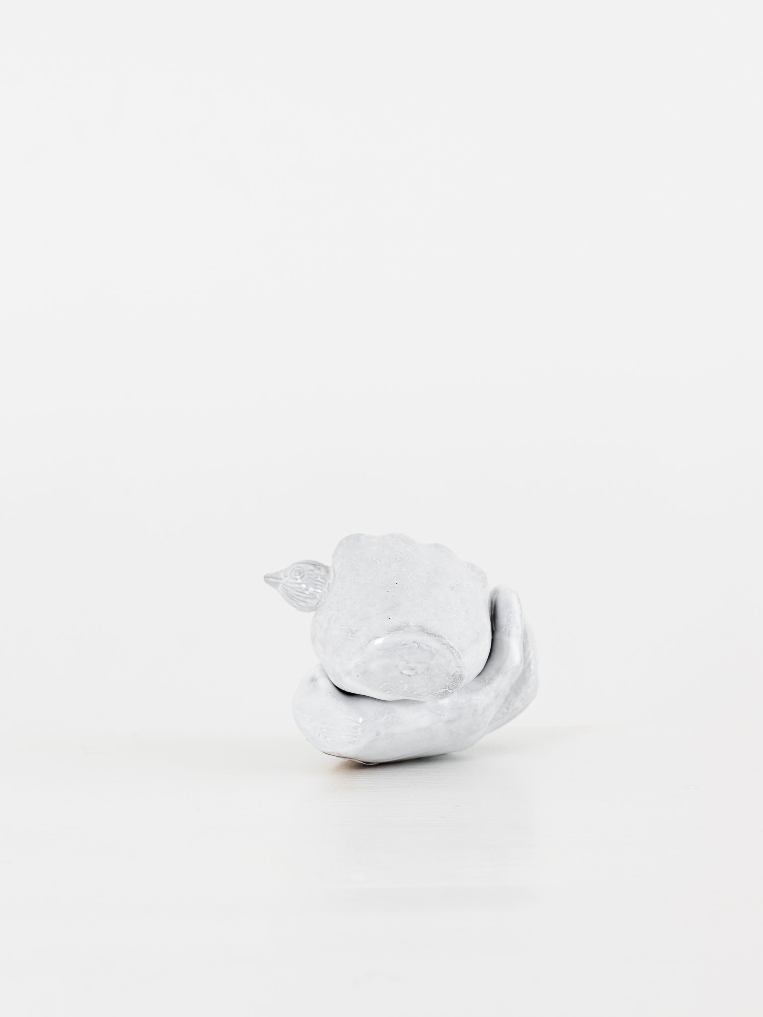 アスティエ セレナ　小鳥ボックス　Astier de Villatte Astier de Villatte Serena Hand Box with Bird at Worthwhile