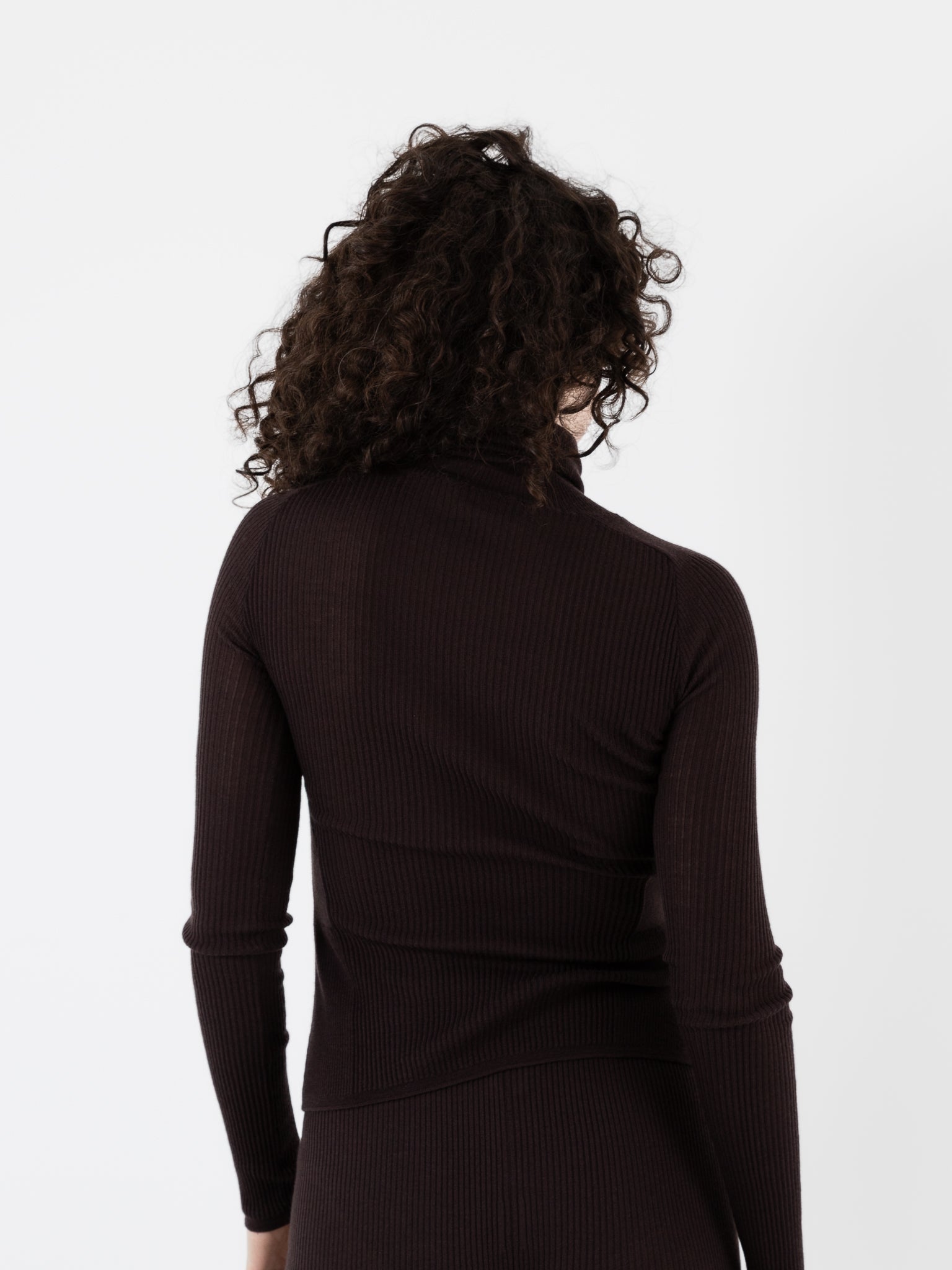 Casey Casey Rib Turtleneck at Worthwhile
