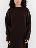 Extreme Cashmere n°373 Oldie Crewneck in Dark Brown - EXTREME CASHMERE at Worthwhile - shop SWEATER