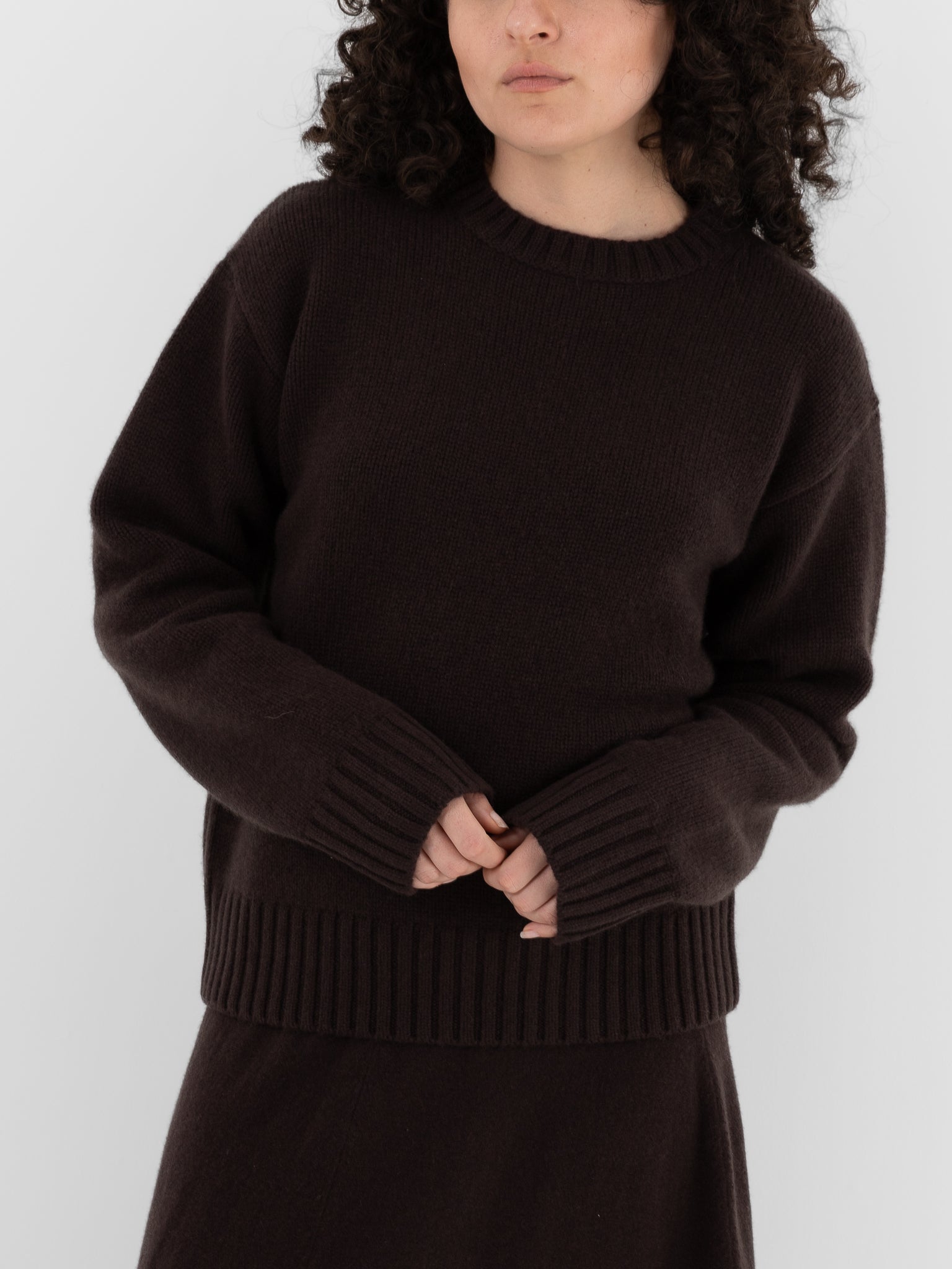 Extreme Cashmere n°373 Oldie Crewneck in Dark Brown - EXTREME CASHMERE at Worthwhile - shop SWEATER