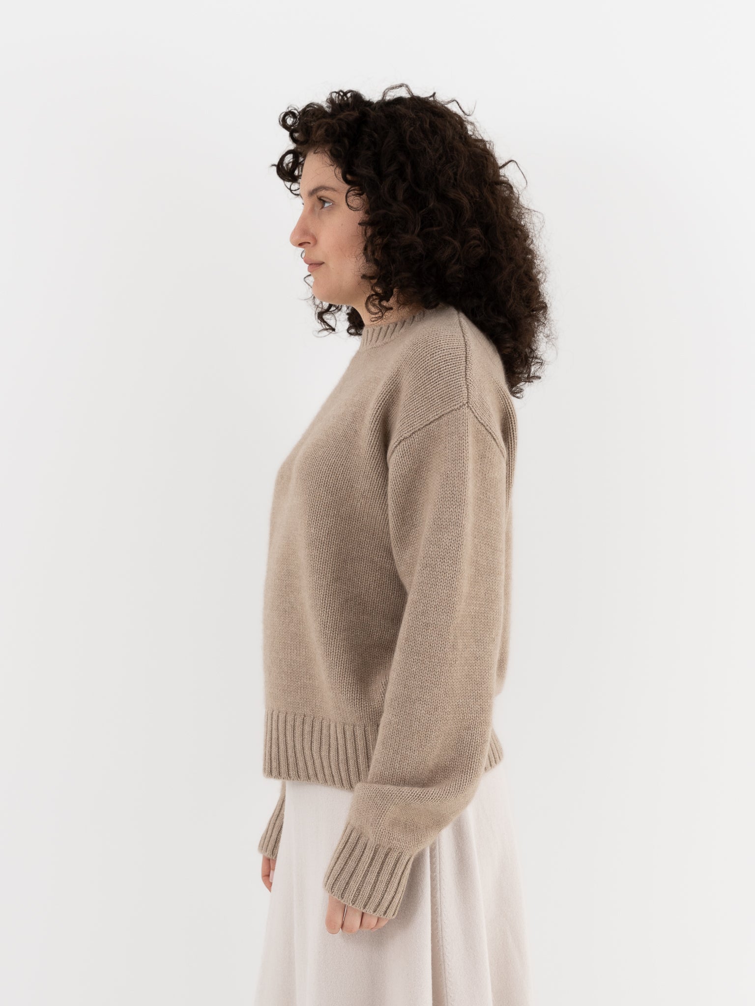 Extreme Cashmere n°373 The Oldie Crewneck in Oat - EXTREME CASHMERE at Worthwhile - shop SWEATER